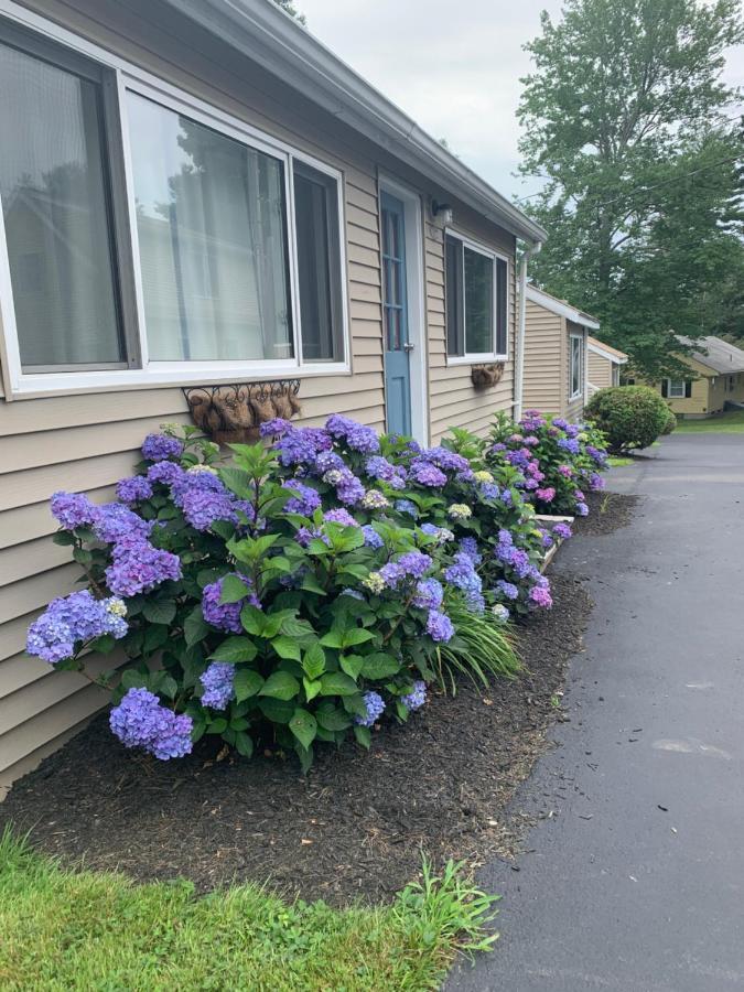 Northeaster Motel Kittery Exterior photo